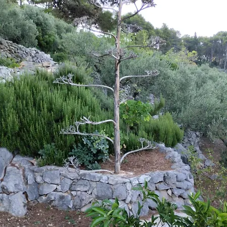 Stone House Moj Dida *