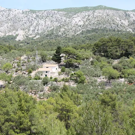 Tatil Evi Stone House Moj Dida